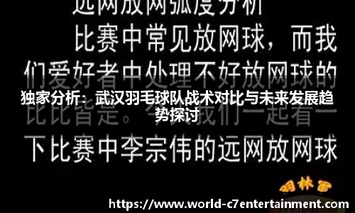 独家分析:武汉羽毛球队战术对比与未来发展趋势探讨