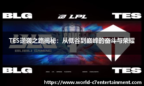 TES逆袭之路揭秘:从低谷到巅峰的奋斗与荣耀